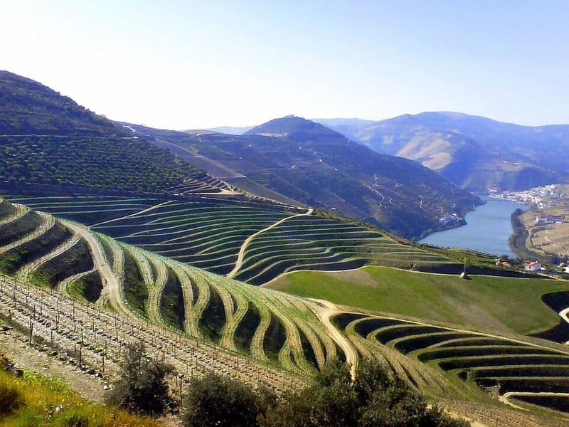 Vale do Douro