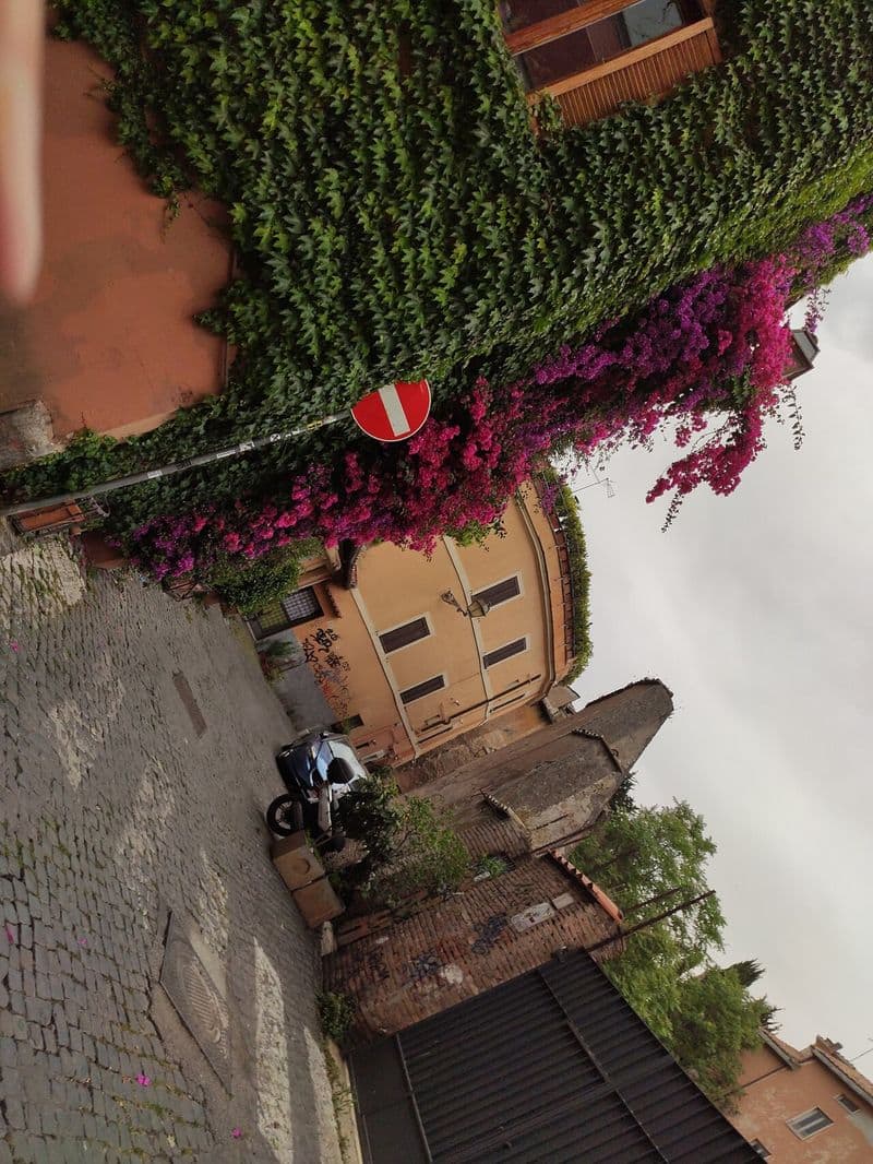 Trastevere